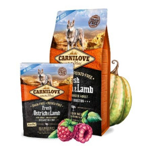 CARNILOVE DOG SMALL BREED FRESH OSTRICH & LAMB bezgraudu sausā barība suņiem Svaigs strauss, jērs 6kg